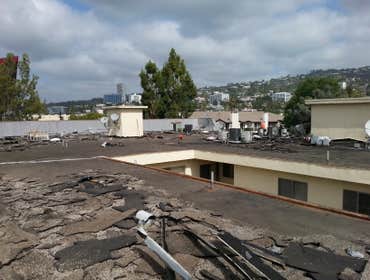 tear off west hollywood