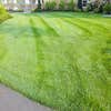 Santos Velasquez Landscaping logo