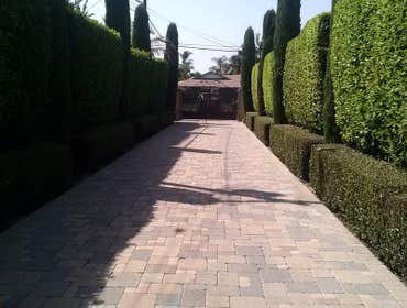 Photos from Pool Service & Maintenance Professionals