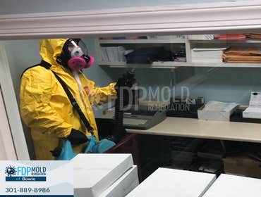 Photos by Fdp Mold Remediation of Bowie #2