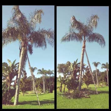 Photos by Velasquez Landscaping & Tree Service LLC #1