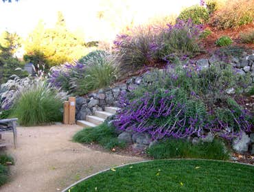 Photos by Confidence Landscaping Inc #1
