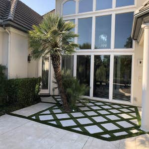 Photos by Dfw Turf Solutions #1