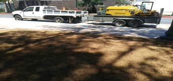 Photos by South Coast Stump Removal