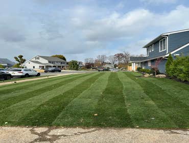 Sod Installation