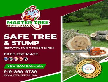 Photos by Master Tree Service LLC #9