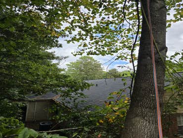 Photos by Robles Landscaping and Constructions #7