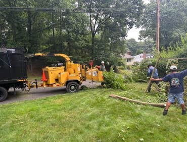 Photos by E. Sanchez Tree Services #7