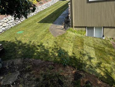 Photos by Magical Forest General Contractor & Landscaping LLC #10