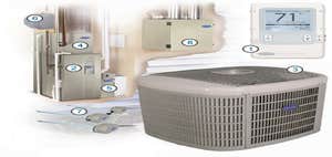 7 Services Inc.
