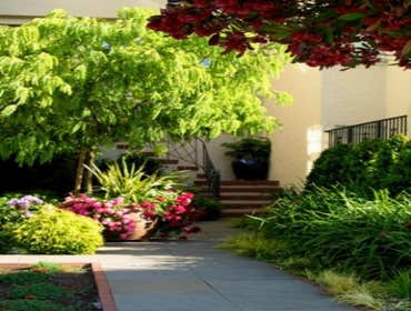 Award-Winning Mediterranean Entry Garden