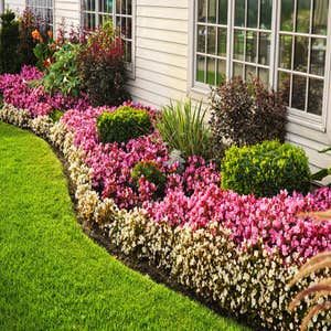 Photos by Jose Estrada Landscaping #1