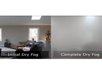Photos by Mold Busters Lewisville #1