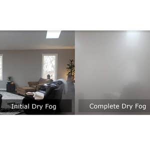 Photos by Mold Busters Lewisville #1