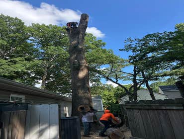 Photos by Beauty Meister Landscaping LLC #2