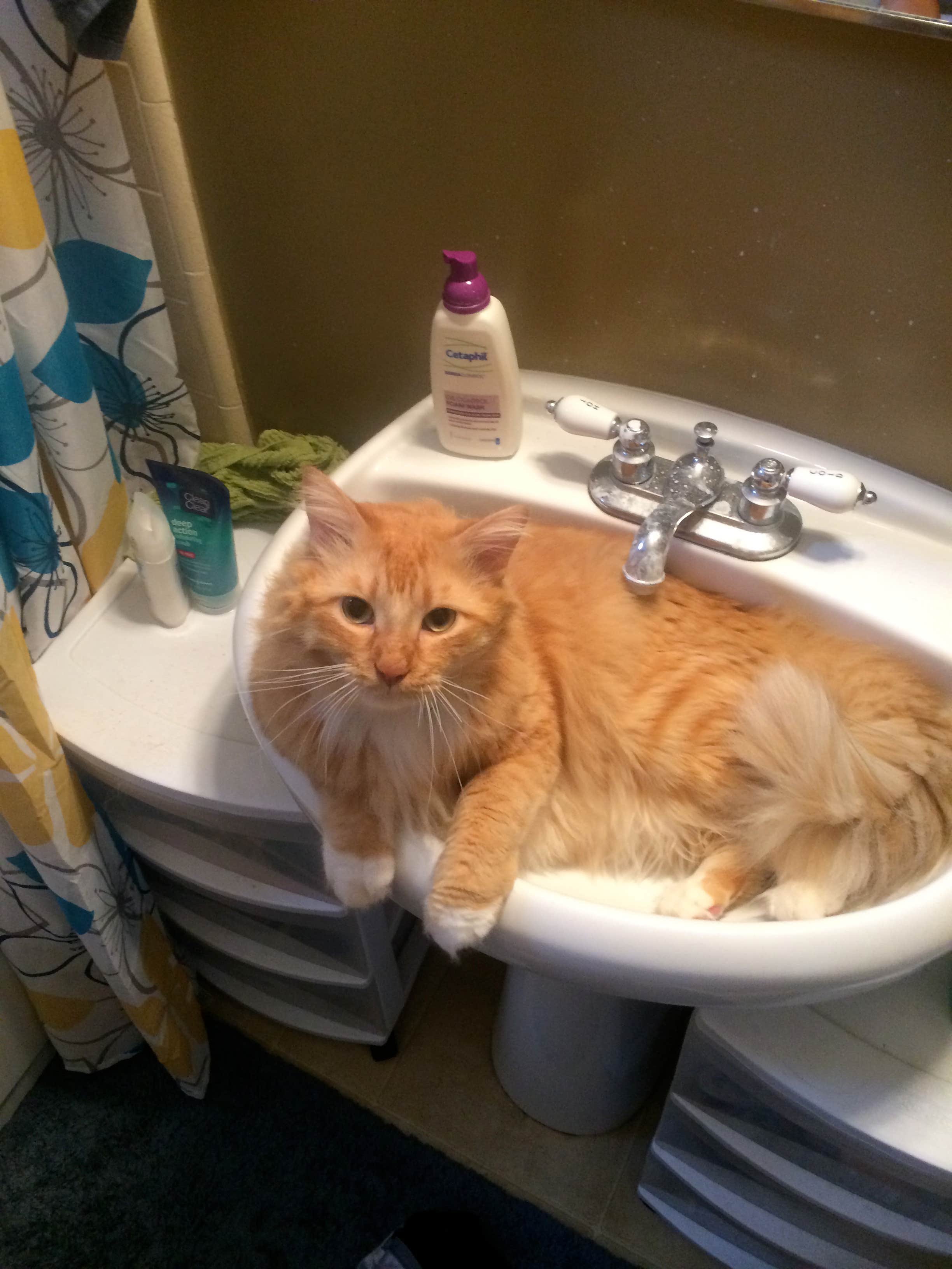 Jet Drain Plumbing & Rooter CA Read Reviews + Get a Bid BuildZoom