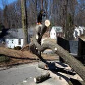 Midwest Tree Removal