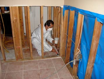 Mold Remediation