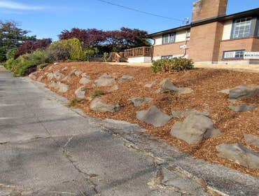 Photos by Nmm Manriquez Landscaping LLC #7