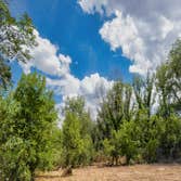 Norman Ok Tree Service