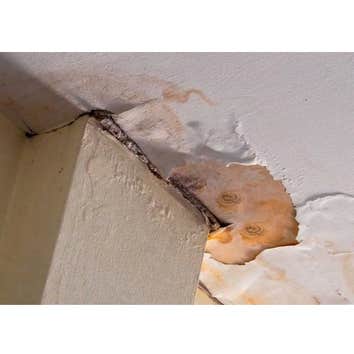 Water Damage Specialists of Tazewell County