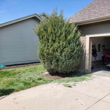Photos by 9-juan-juan Lawn Care & Snow Removal LLC #1