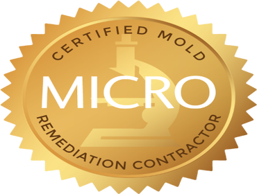 Photos by All Suburban Mold Services #1