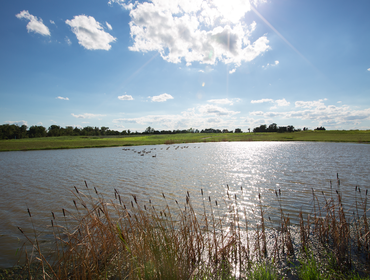 Photos by The Meadows at Bayberry #1