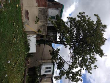 Tree Service South Jersey