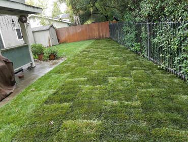 Photos from Zaharis Landscaping Inc