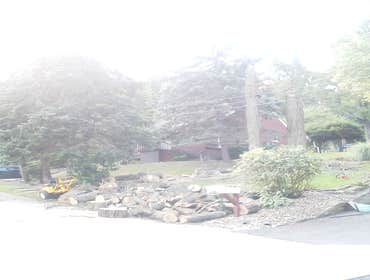 removal of 3 locusts
