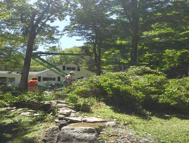 Photo(s) from Freeman The Treeman