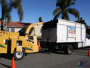 Photos by Estates Tree Service #1
