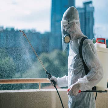 Photos by Roundabout Capital Termite Experts #1