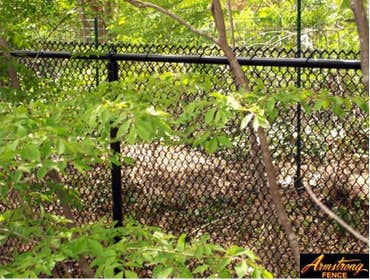 Fences