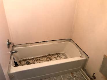 Photos by Brookdelnc Environmental Inc #2