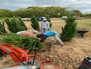 Planting