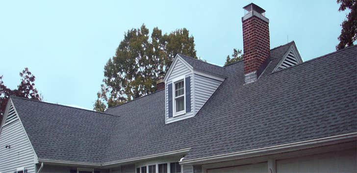 Busy Bee Roofing