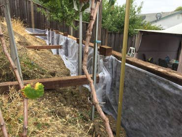 Backyard project