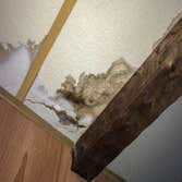 Photos by Silicon Beach Water Damage Solutions #1