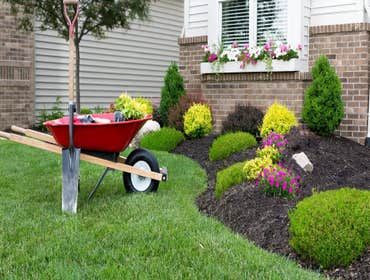 Photos by Noah Landscaping and Construction LLC #1
