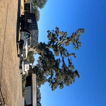 A Beautiful Tree Service
