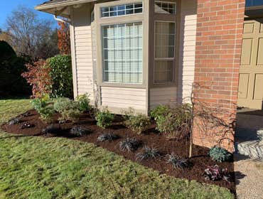 Photos by Verano Landscaping #1