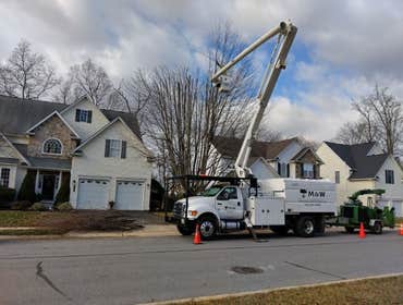 Photos by M&w Tree and Landscaping LLC #2