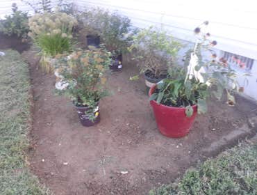 Photos by Bamaca Landscaping LLC #1