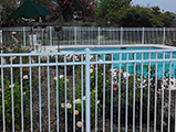 Fences