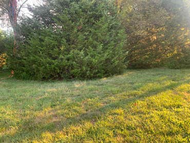 Photos by Capetillo Landscaping LLC #21