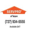 SERVPRO of Tarpon logo