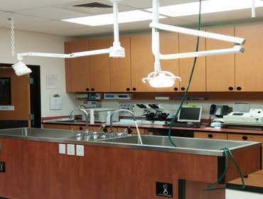 Medical Work Station