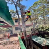 East Side Tree Services